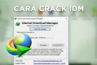 Berikut Cara Mematikan Update Otomatis IDM Secara Permanen di Komputer Windows