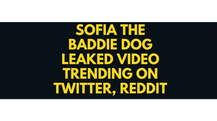 Link Full Video Sofiathebaddie Dog Video Twitter